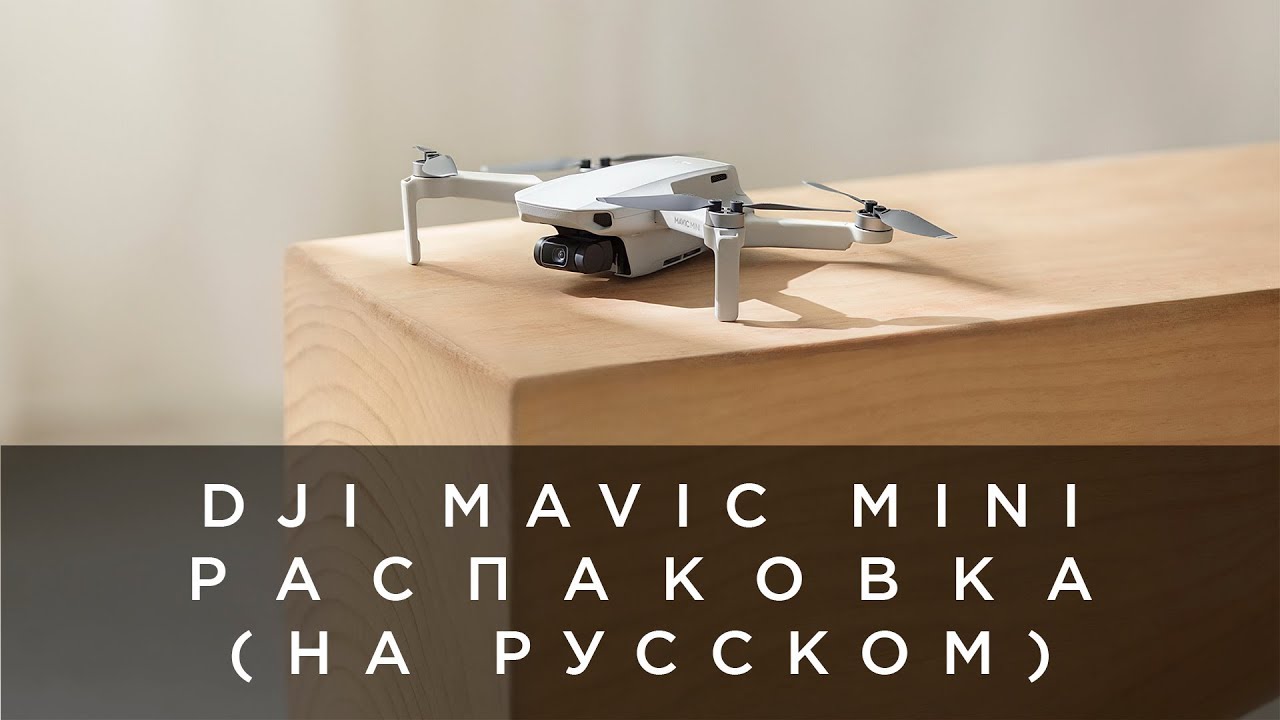 Распаковка DJI Mavic Mini (на русском)