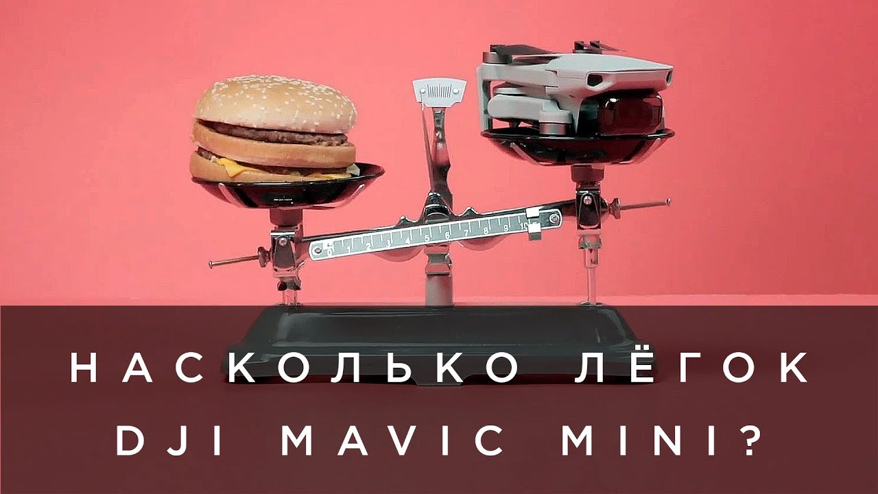 Насколько лёгок DJI Mavic Mini?